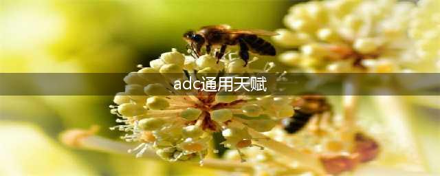 《英雄联盟》ADC通用天赋符文是什么 S9赛季ADC最强符文分享(adc通用天赋)