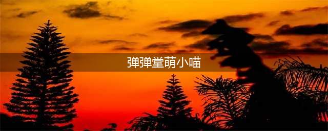 萌小喵(弹弹堂萌小喵)