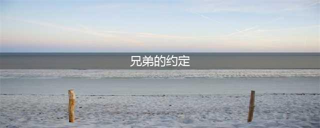 《航海王热血航线》兄弟的约定任务怎么完成 任务完成攻略(兄弟的约定)