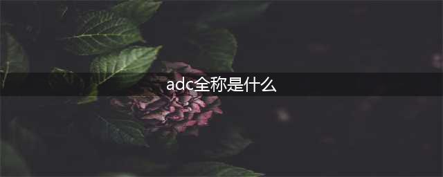 ADC全称 ADC英雄全英文单词：王者知道答案(adc全称是什么)