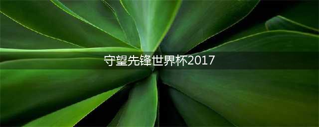 2017守望先锋世界杯再度来袭 世界杯赛程介绍(守望先锋世界杯2017)