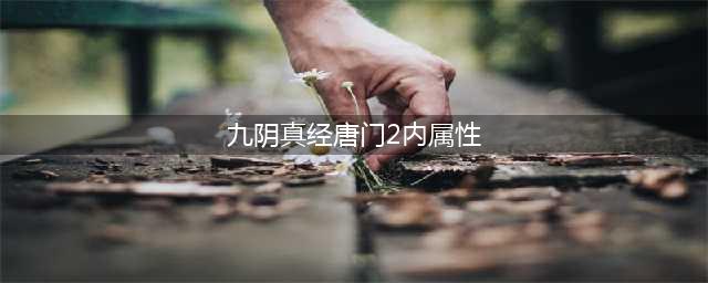 《九阴真经2》唐门二内任务怎么做 唐门二内任务完成攻略分享(九阴真经唐门2内属性)