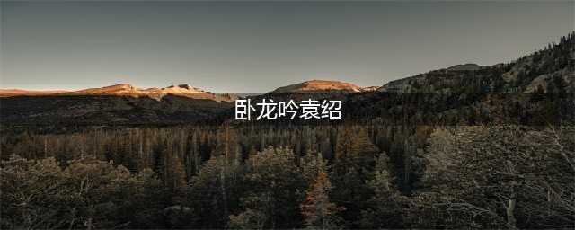 《卧龙吟2》袁绍阵容怎么搭配 袁绍阵容搭配攻略