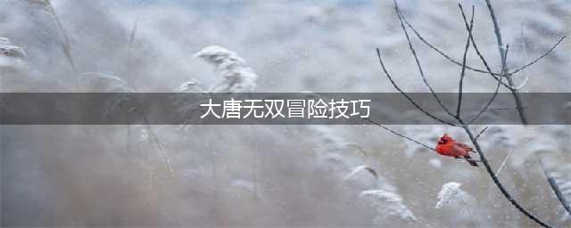 大唐无双冒险地图及经验介绍(大唐无双冒险技巧)