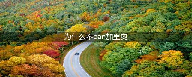 为什么不ban加里奥？图文分析RNG五放加里奥的原因(为什么不ban加里奥)