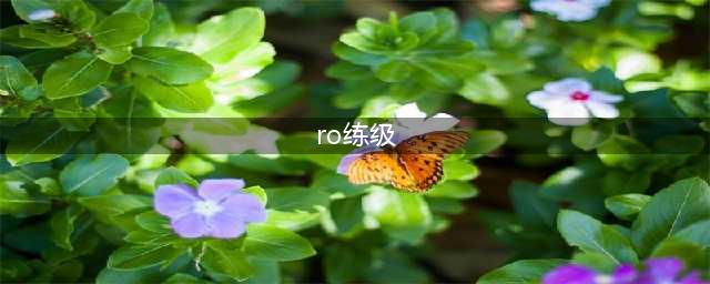 仙境传说RO手游怎么快速升级-平民玩家快速升级技巧一览