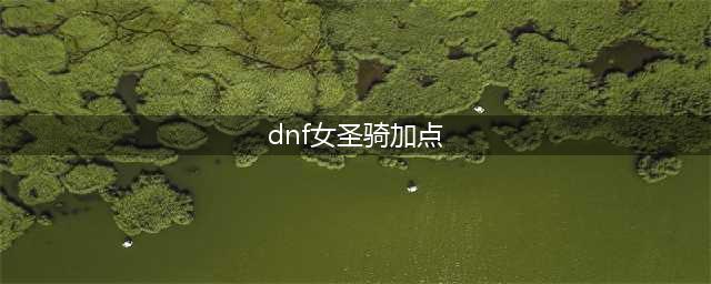 DNF女圣骑士110级刷图加点攻略(dnf女圣骑加点)