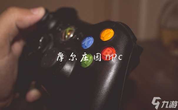 摩尔庄园npc