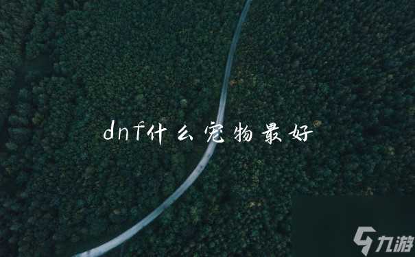 dnf什么宠物最好