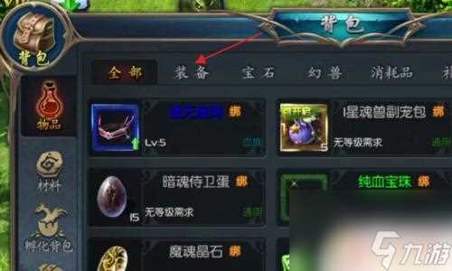 魔域口袋版怎么扔无法丢弃的东西 魔域口袋版装备怎么丢弃