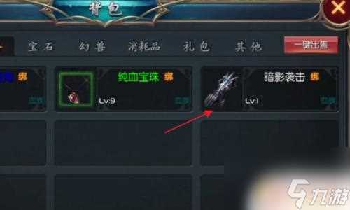 魔域口袋版怎么扔无法丢弃的东西 魔域口袋版装备怎么丢弃