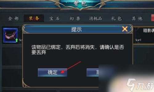 魔域口袋版怎么扔无法丢弃的东西 魔域口袋版装备怎么丢弃