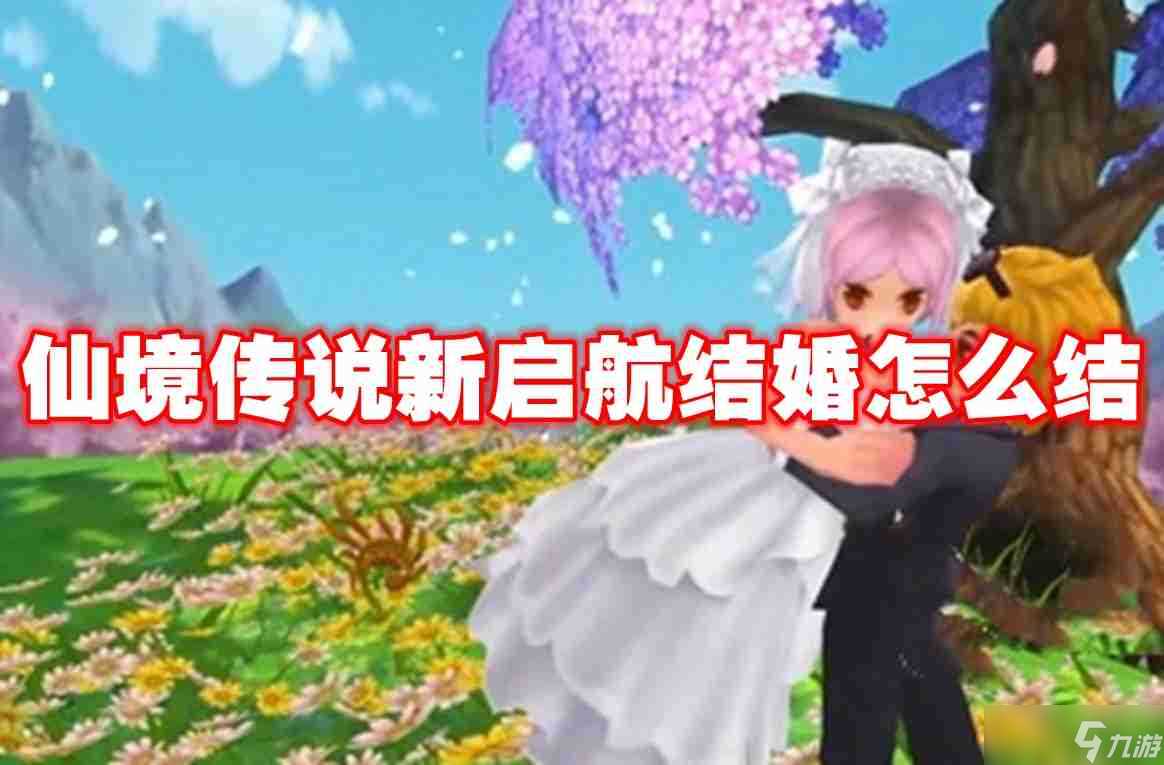 仙境传说新启航结婚怎么结 仙境传说新启航结婚条件介绍