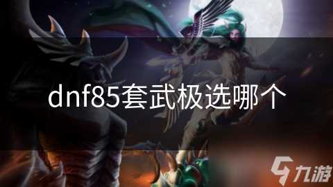 dnf85套武极选哪个