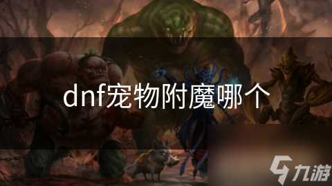 dnf宠物附魔哪个